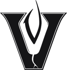 Austin Vandegrift Vipers logo