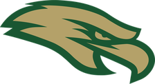 Cypress Falls Eagles logo