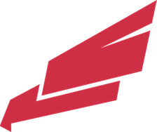 Dallas Bishop Dunne Falcons logo