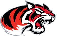 Denton Braswell Bengals logo