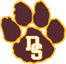 Dripping Springs Tigers logo