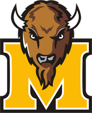 Fort Bend Marshall Buffaloes logo