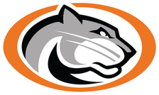 Houston St. Pius X Panthers logo