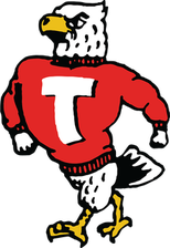 Houston St. Thomas Eagles logo
