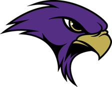 Keller Timber Creek Falcons logo