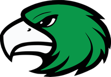 Lake Dallas Falcons logo