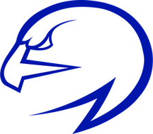 North Forney Falcons logo