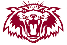 Plano Wildcats logo