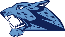 San Antonio Johnson Jaguars logo