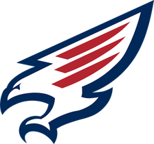 Tompkins Falcons logo